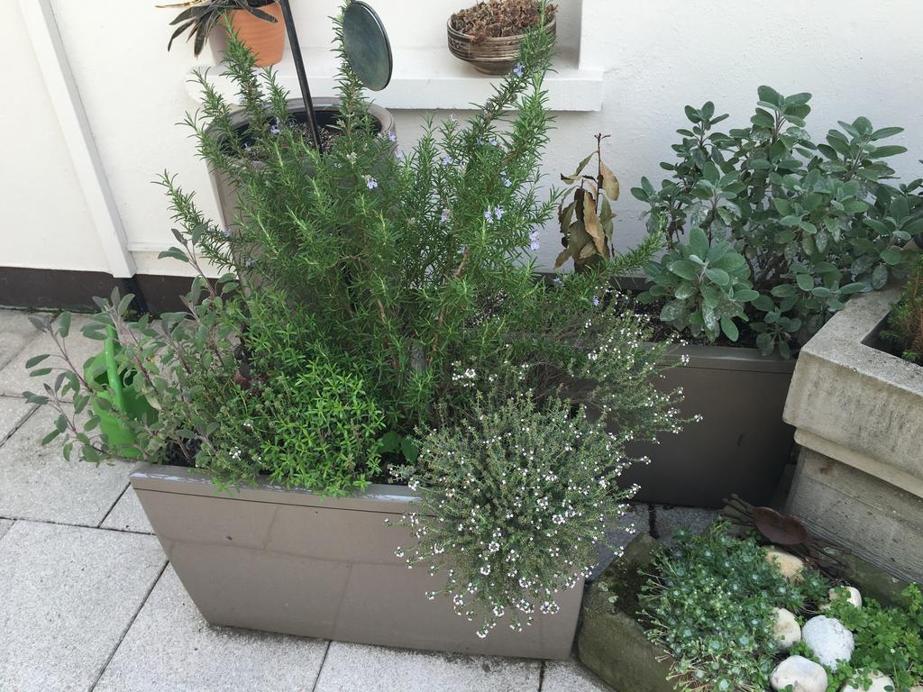 Mangolds Boutique Hotel & Fruehstuecksmeisterei Schweinfurt Zewnętrze zdjęcie